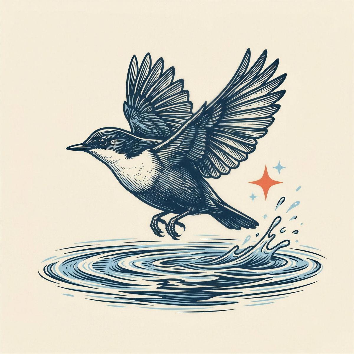 The dipper, Dipper Water’s namesake, beside a stream